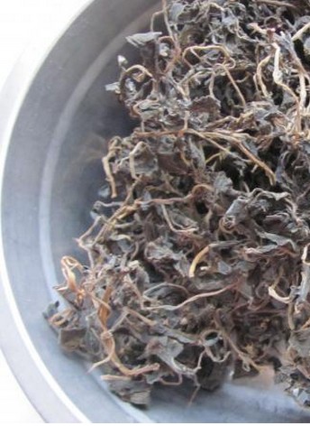 馬齒莧 馬絲莧